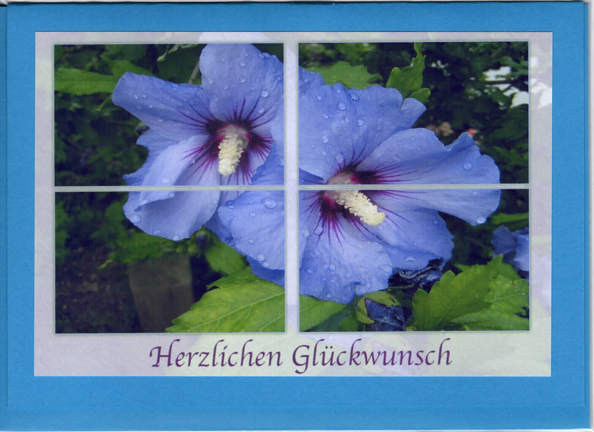 Fotokarte Herzlichen Glückwunsch