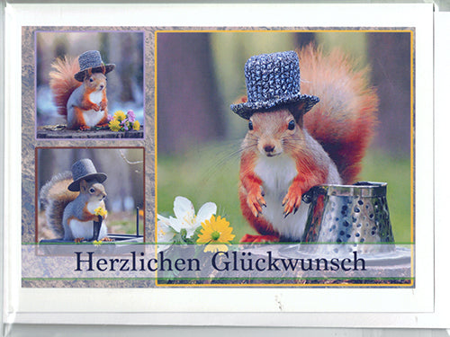Fotokarte Herzlichen Glückwunsch Tiermotiv Eichhörnchen mit Hut