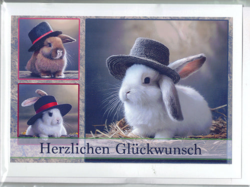 Fotokarte Herzlichen Glückwunsch Tiermotiv Kaninchen mit Hut