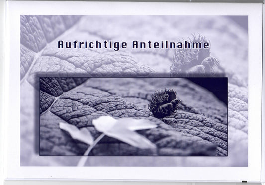 Fotokarte Trauer Frucht auf Blatt