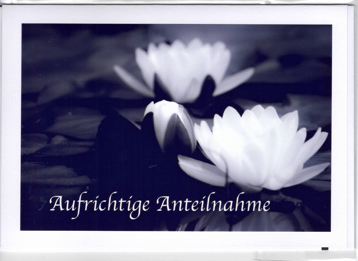 Fotokarte Trauer - Aufrichtige Anteilnahme