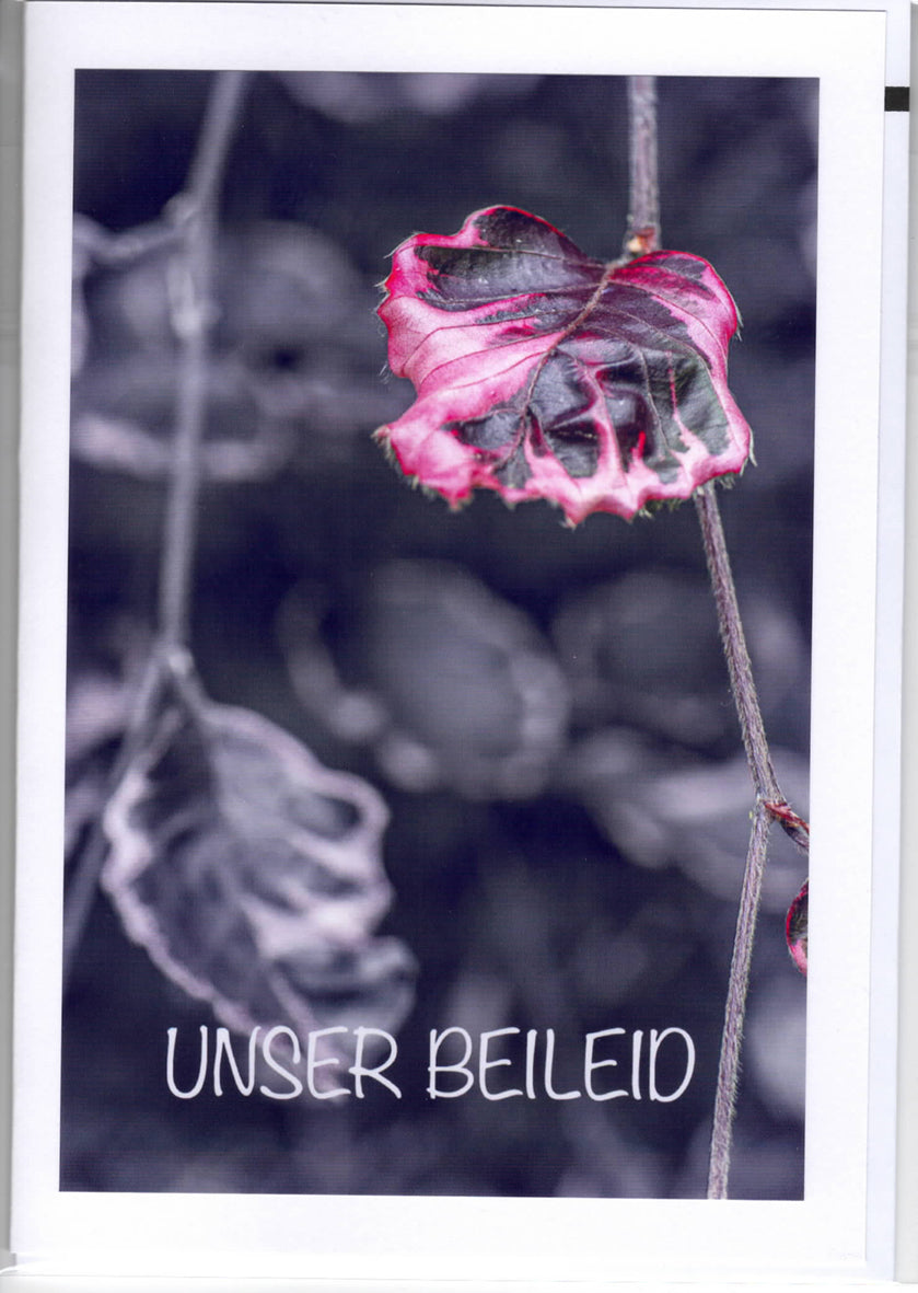 Fotokarte Trauer  - Unser Beileid